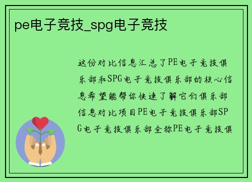 pe电子竞技_spg电子竞技